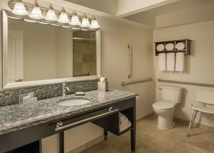 Homewood By Hilton Downtown - Magnificent Mile 3* Chicago