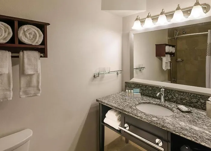 Homewood By Hilton Downtown - Magnificent Mile Chicago